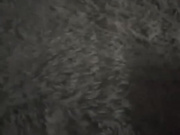 darkvill69