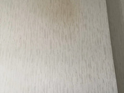 NastyaMeow1