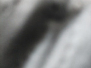 DmitryAndKarina 19.08.2024