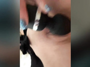 golden-cobra100 с Domi