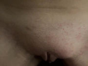 FunkyMonkeys 06.09.2024