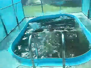 Kinkukcam
