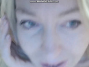 zarinaswift
