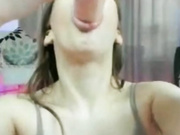 dolly-ll