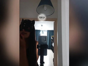 KiKa____