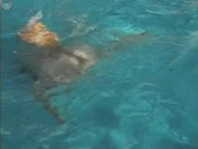 isabel / shannon #4 [contact for more]