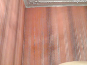 perverts   бонга камс