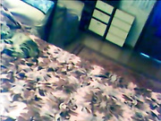 тёлки с сайта www.beboo.ru