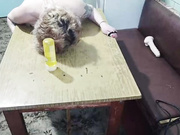 yarovaya (с парнем)