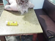 yarovaya (с парнем)