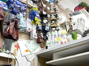 Cute-Anya(EVERGLOW) апскирт на работе-38