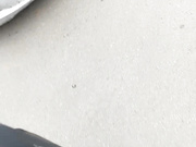 Онлайн-эровидеочат с Angelia22 на BongaCams 2024-10-09 10_54