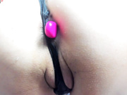 NikkaHOTx