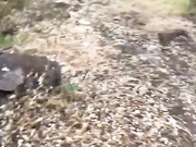 sakharochek 2024-06-28