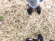 sakharochek 2024-06-28