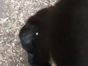 sakharochek 2024-05-30