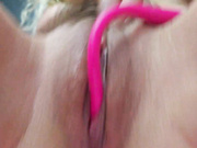 TigerToxic 20.10.2024