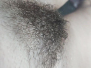 TigerToxic 20.10.2024