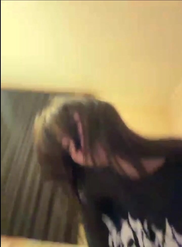 CutieKitty6