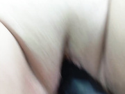 seksiparaa 30.10.2024