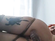 ДЕВИЦА ДРОЧИТ