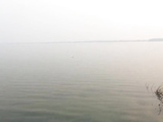 ДЕВИЦА ОТСОСАЛА