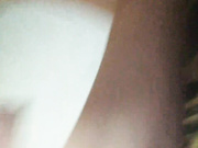 Evelina-EV 14.11.2024