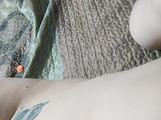 Evelina-EV 14.11.2024