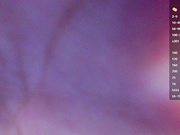 lissazmark2 делает минет и глотает