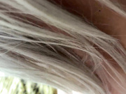 Keitri секс новой парочки