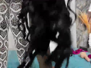 VICKYWALLES