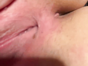 Alisacams