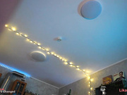 Sukki рыжая сучка