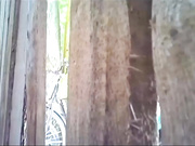 Общая душевая на пляже