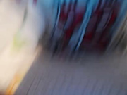 Loloannet (Pup_Zefiro)