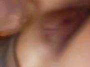 SSSATIVA_model