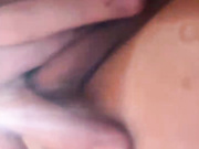 SSSATIVA_model