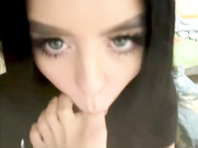 Fox_Sugar