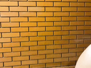 шлюшки украиночки