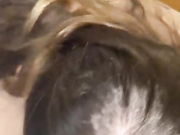 любительское