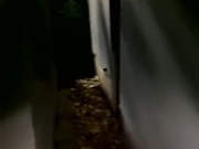 веселые девки