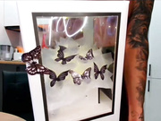 BlackAngel_в колготках без трусиков-4