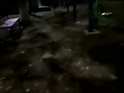 веселые девки