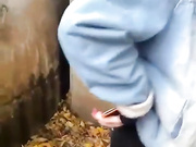 веселые девки