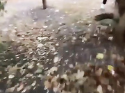 веселые девки