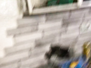 групповушка