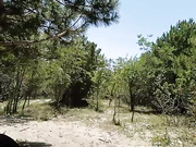 Онлайн-эровидеочат с ___Pypsiki___ на BongaCams 2025-07-01 11_54