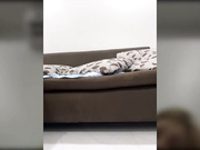 Nastyu-sha страстное шоу