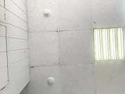 DibellAss, Sxy_Margo