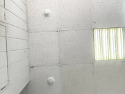 DibellAss, Sxy_Margo